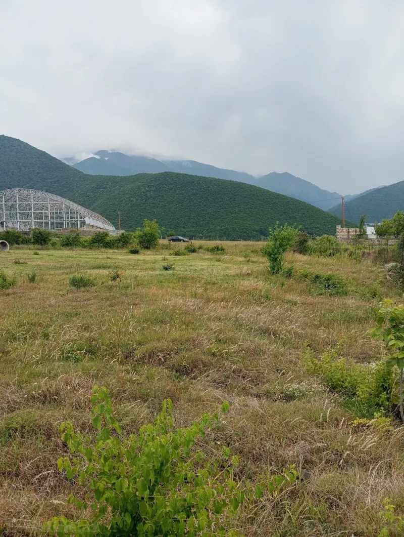 Satılır Torpaq 38 sot Şəki - şəkil 3