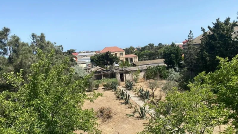 Satılır Torpaq 24 sot Şüvəlan - şəkil 2