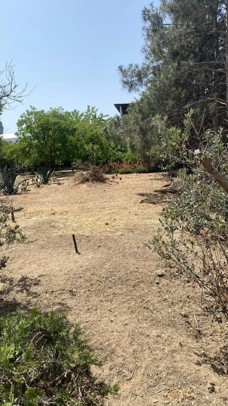 Satılır Torpaq 24 sot Şüvəlan - şəkil 3