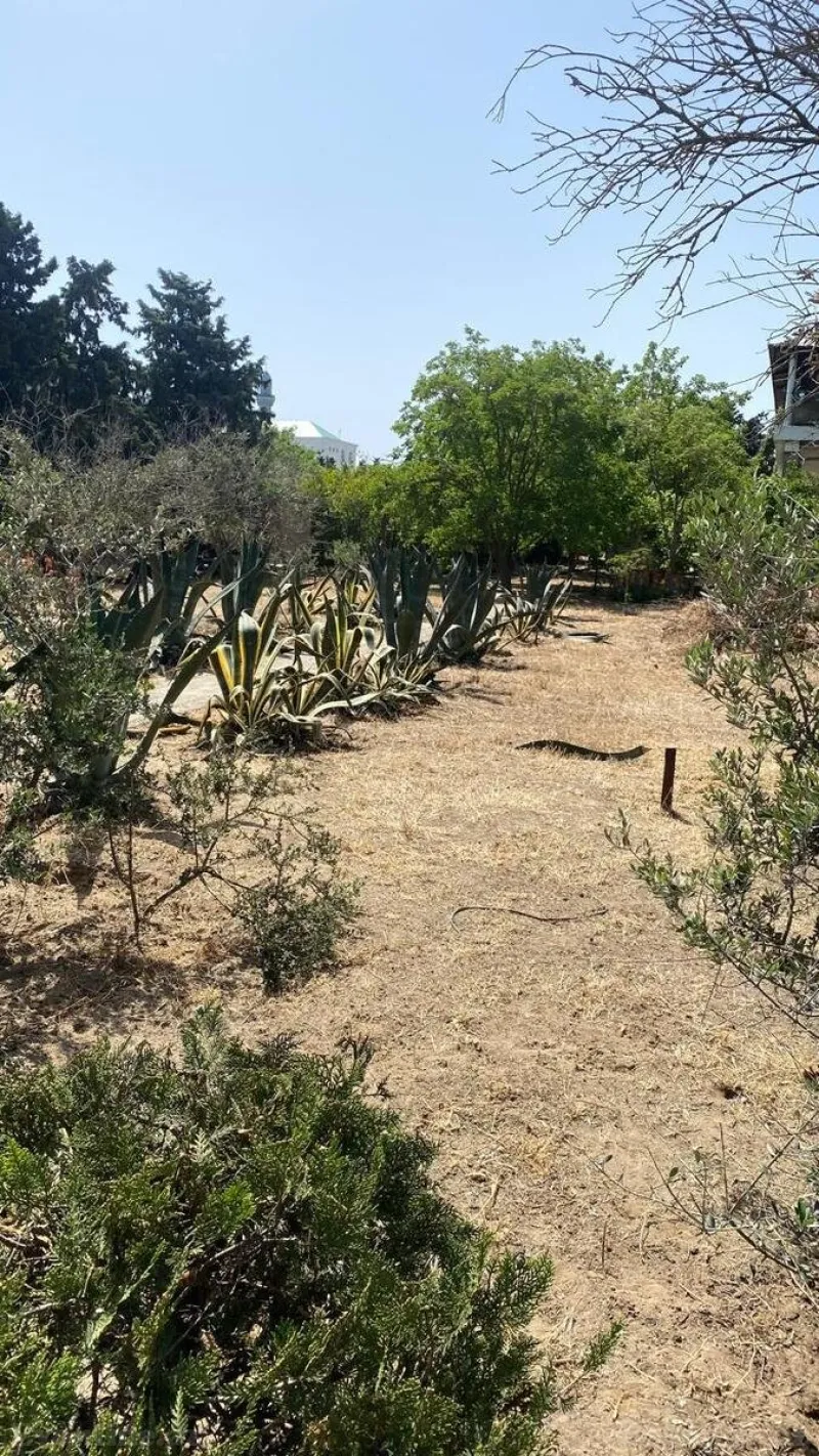 Satılır Torpaq 24 sot Şüvəlan - şəkil 4