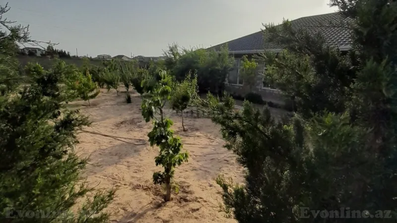 Satılır Torpaq 12 sot Şüvəlan - şəkil 6