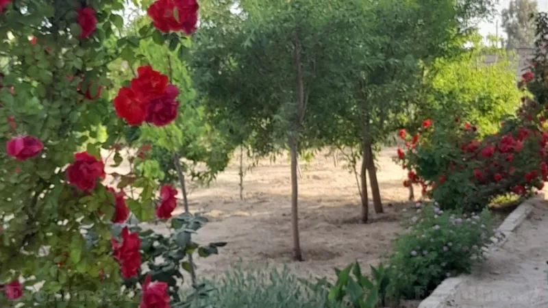 Satılır Torpaq 12 sot Şüvəlan - şəkil 11