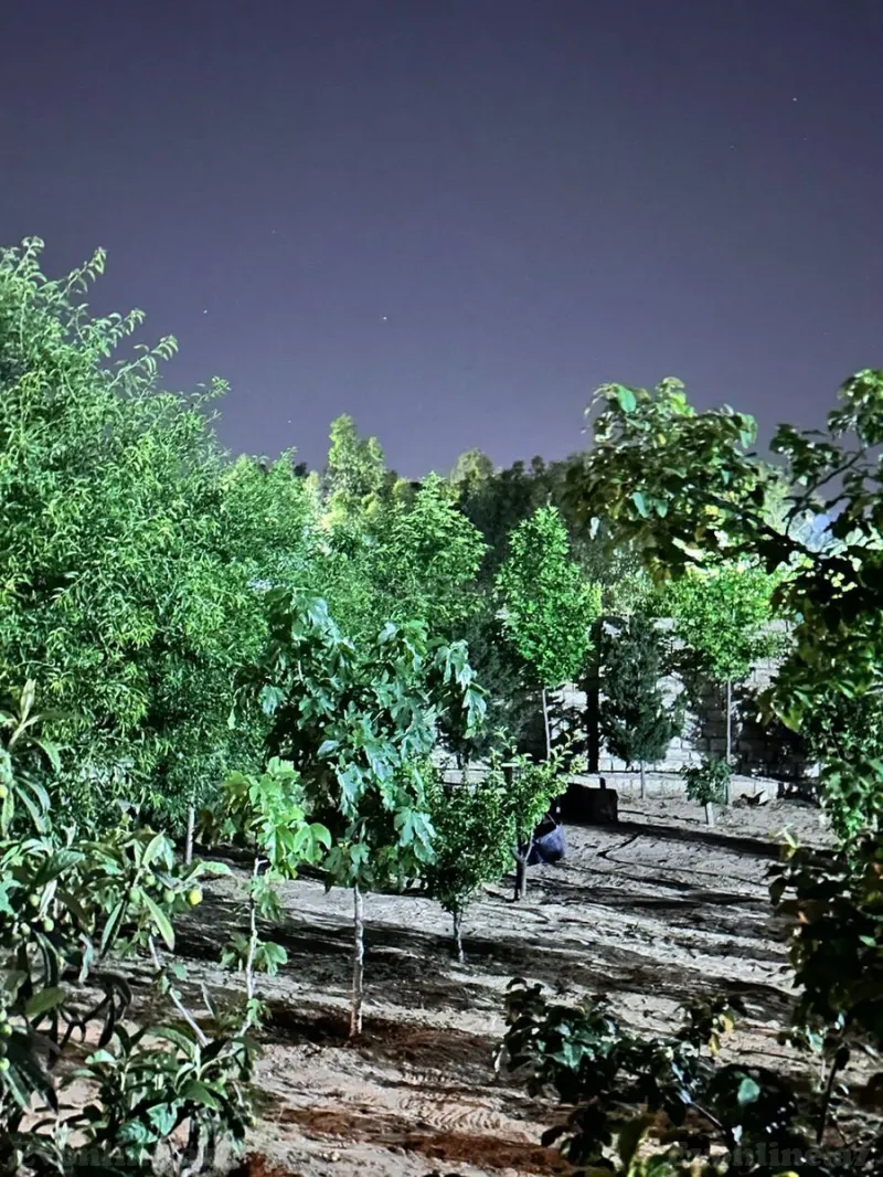 Satılır Torpaq 12 sot Şüvəlan - şəkil 13