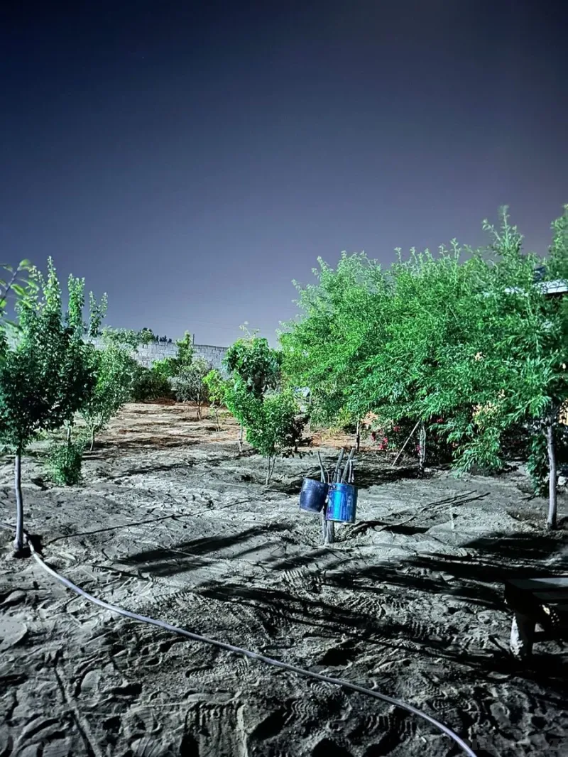 Satılır Torpaq 12 sot Şüvəlan - şəkil 20