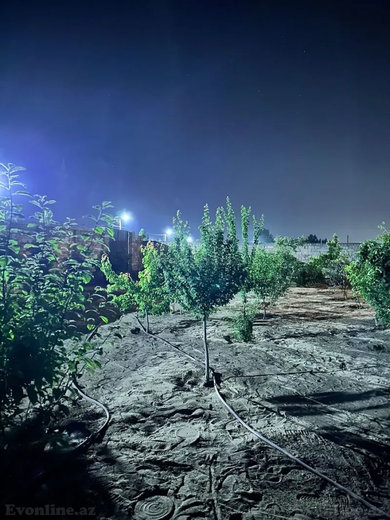 Satılır Torpaq 12 sot Şüvəlan - şəkil 21