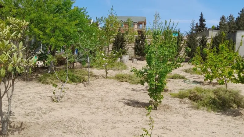 Satılır Torpaq 12 sot Şüvəlan - şəkil 22