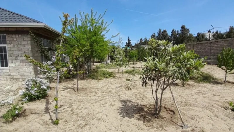 Satılır Torpaq 12 sot Şüvəlan - şəkil 26