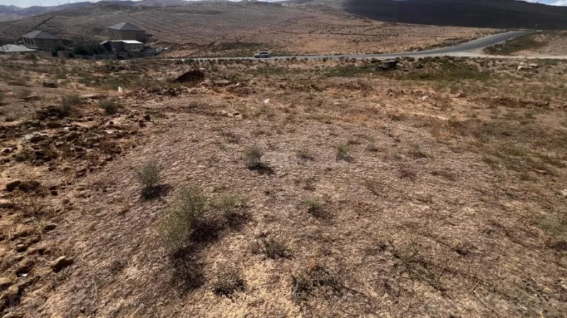 Satılır Torpaq 6 sot Xocəsən - şəkil 3