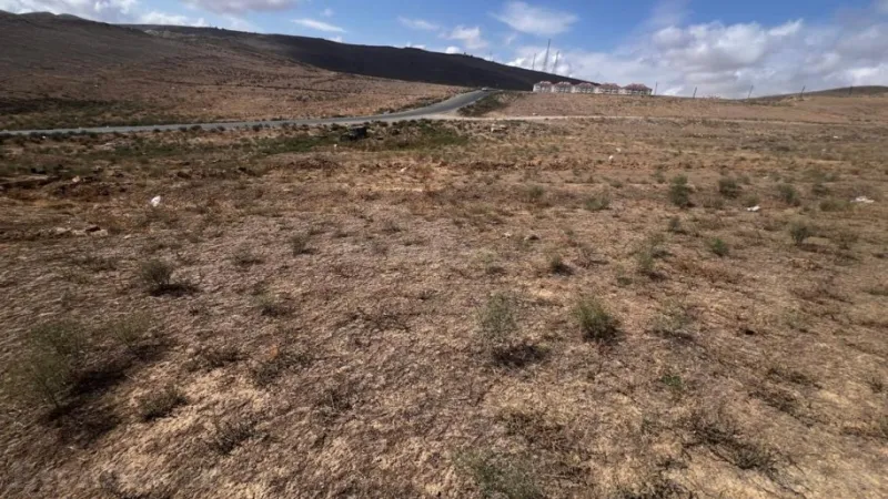 Satılır Torpaq 6 sot Xocəsən - şəkil 5