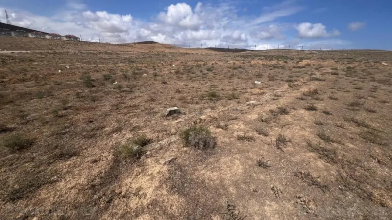 Satılır Torpaq 6 sot Xocəsən - şəkil 10