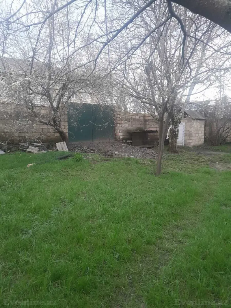 Satılır Torpaq 4 sot Qəbələ - şəkil 4