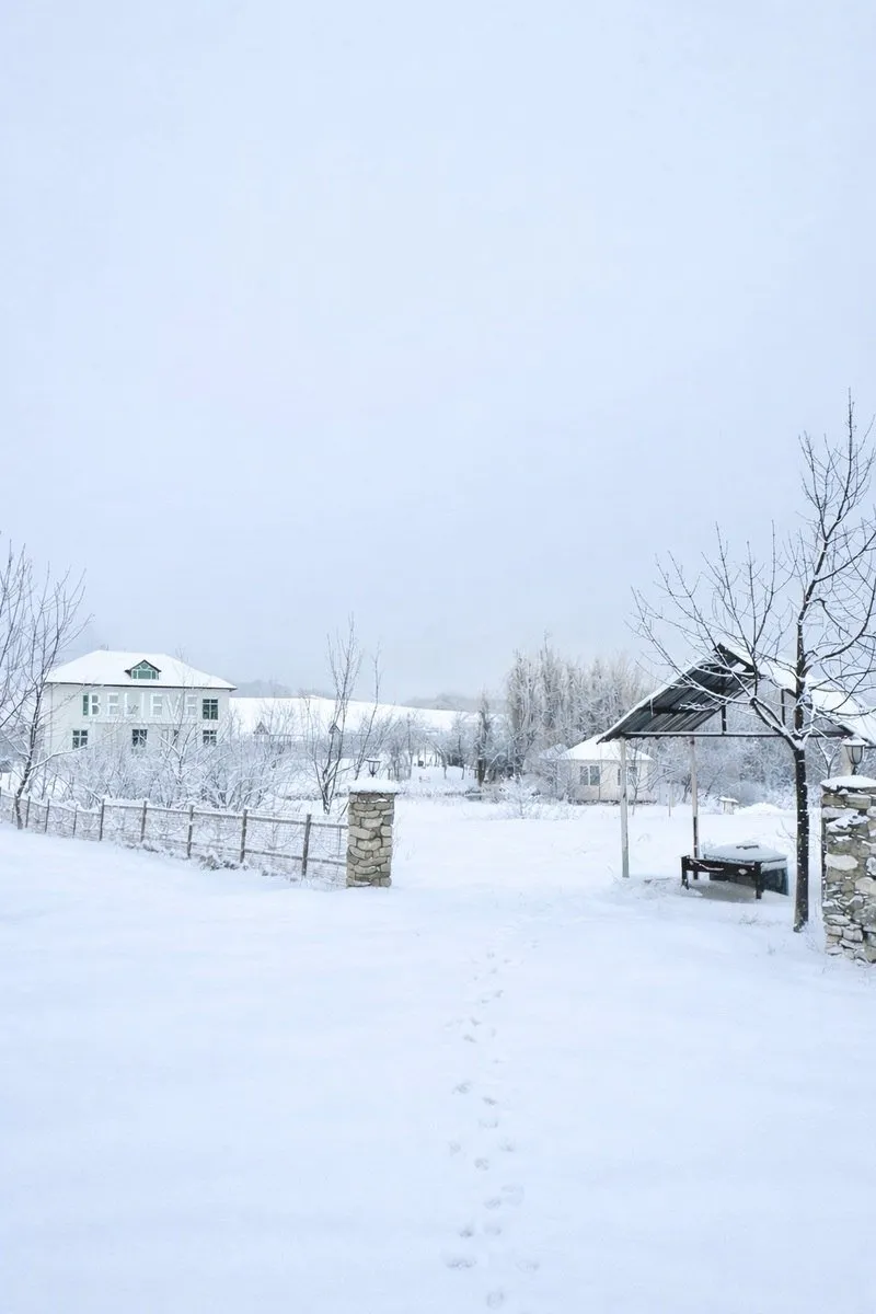 Satılır Obyekt 300 m² Şamaxı - şəkil 3