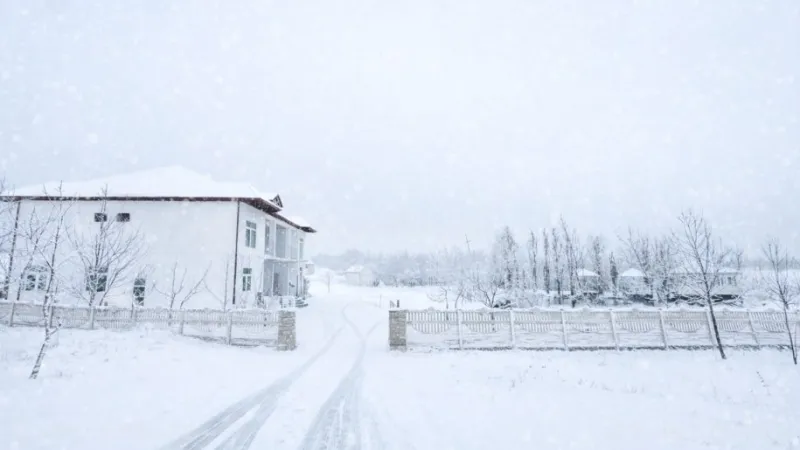 Satılır Obyekt 300 m² Şamaxı - şəkil 4