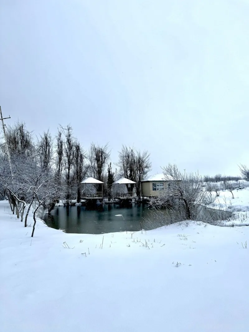 Satılır Obyekt 300 m² Şamaxı - şəkil 5