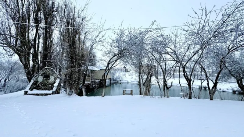 Satılır Obyekt 300 m² Şamaxı - şəkil 6