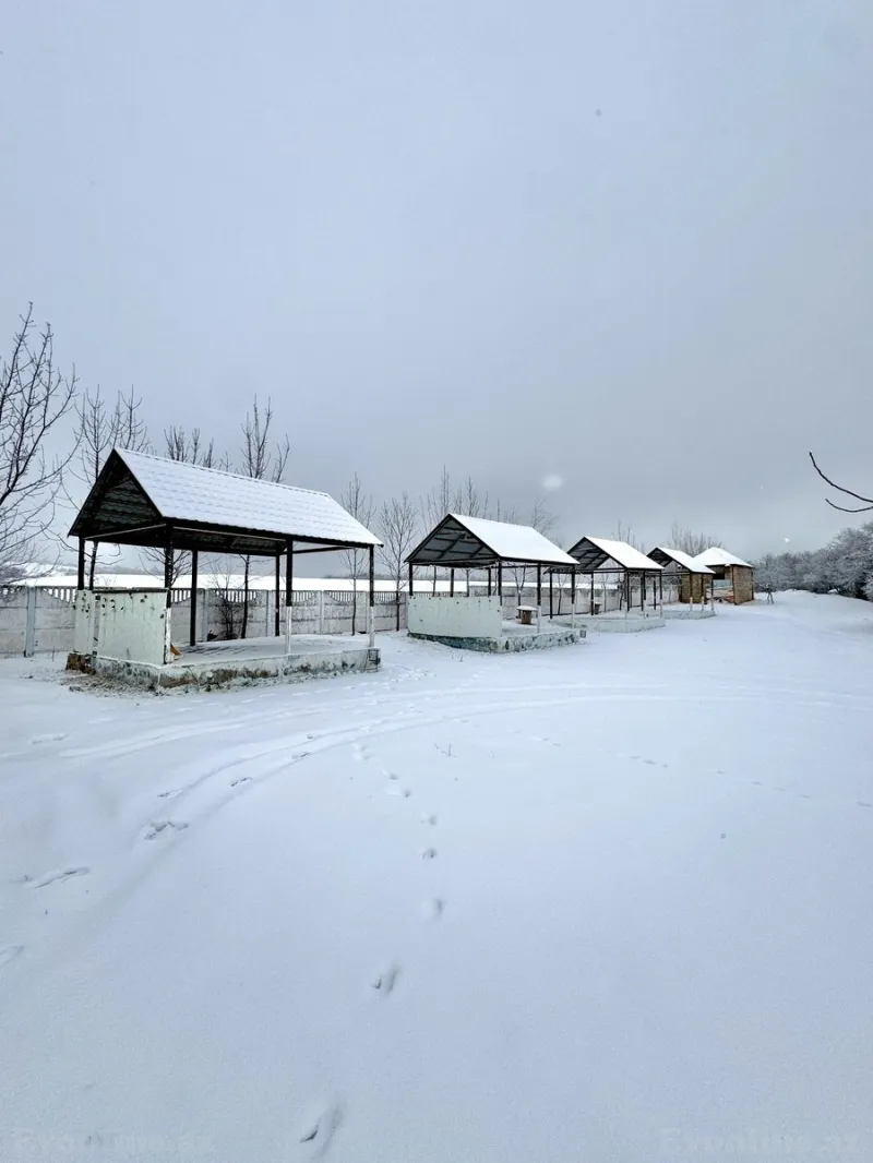 Satılır Obyekt 300 m² Şamaxı - şəkil 7