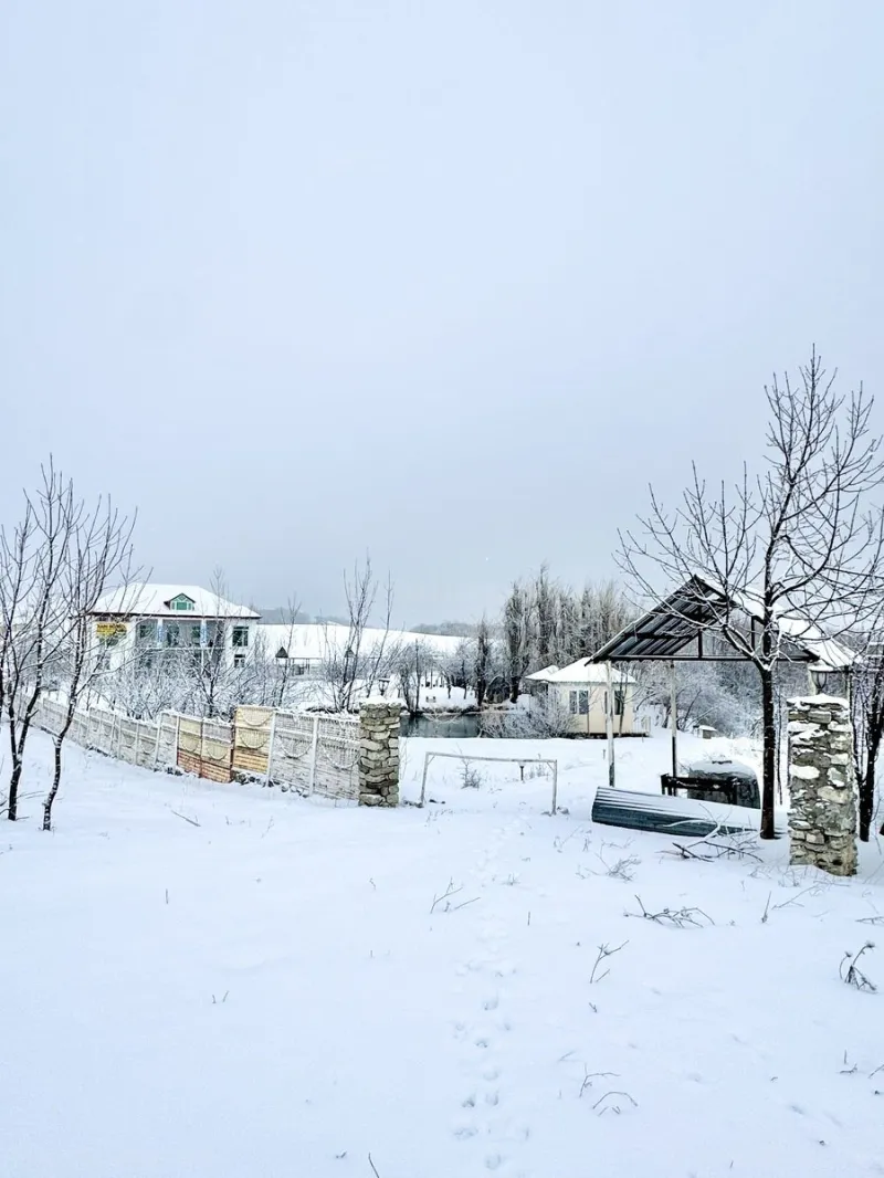 Satılır Obyekt 300 m² Şamaxı - şəkil 8