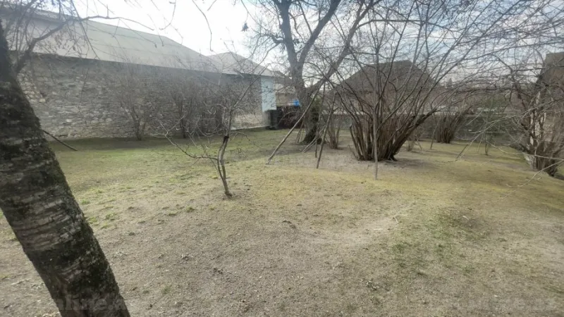 Satılır Torpaq 8 sot Şəki - şəkil 2