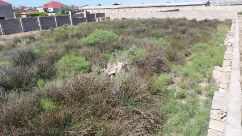 Satılır Torpaq 12 sot Türkan - şəkil 3