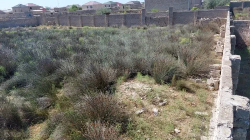 Satılır Torpaq 12 sot Türkan - şəkil 4