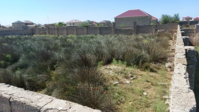 Satılır Torpaq 12 sot Türkan - şəkil 5