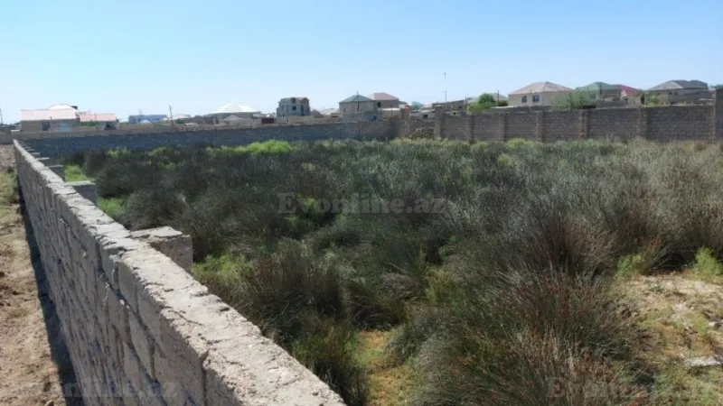 Satılır Torpaq 12 sot Türkan - şəkil 6