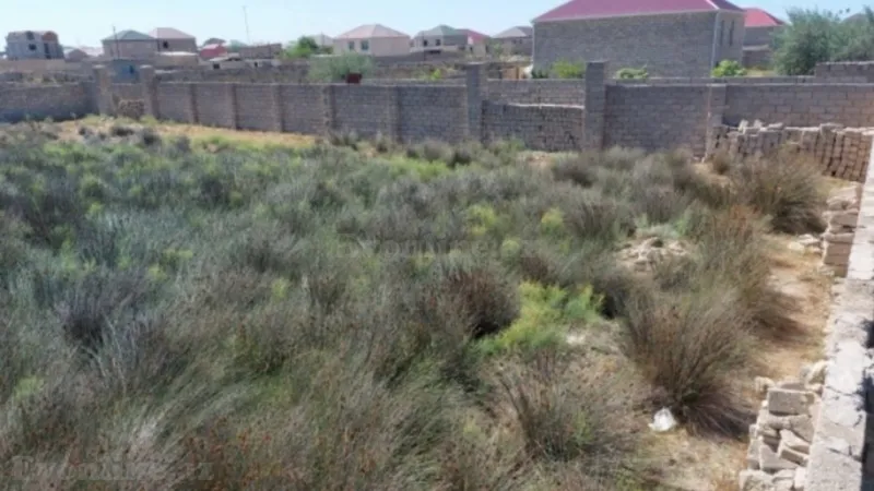 Satılır Torpaq 12 sot Türkan - şəkil 7