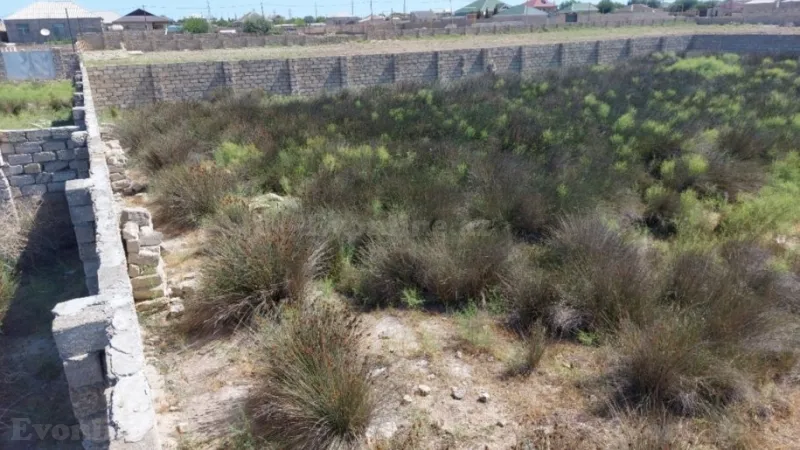 Satılır Torpaq 12 sot Türkan - şəkil 8