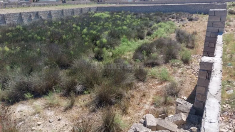 Satılır Torpaq 12 sot Türkan - şəkil 9