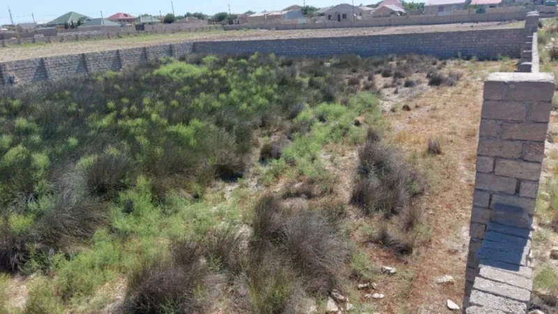 Satılır Torpaq 12 sot Türkan - şəkil 10