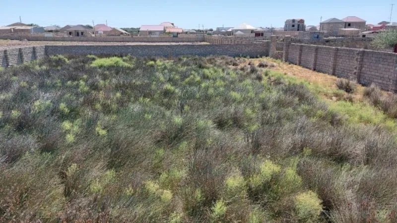 Satılır Torpaq 12 sot Türkan - şəkil 14