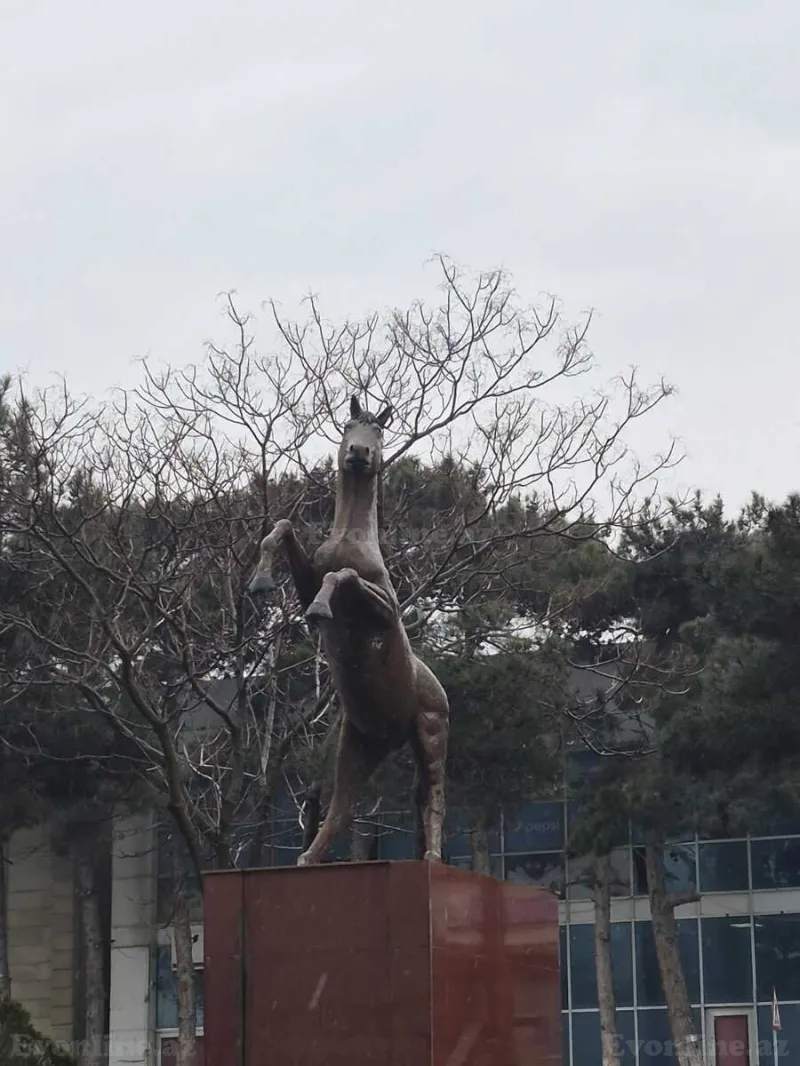 Satılır 3 otaqlı Mənzil Yeni tikili 102 m² Xırdalan - şəkil 2