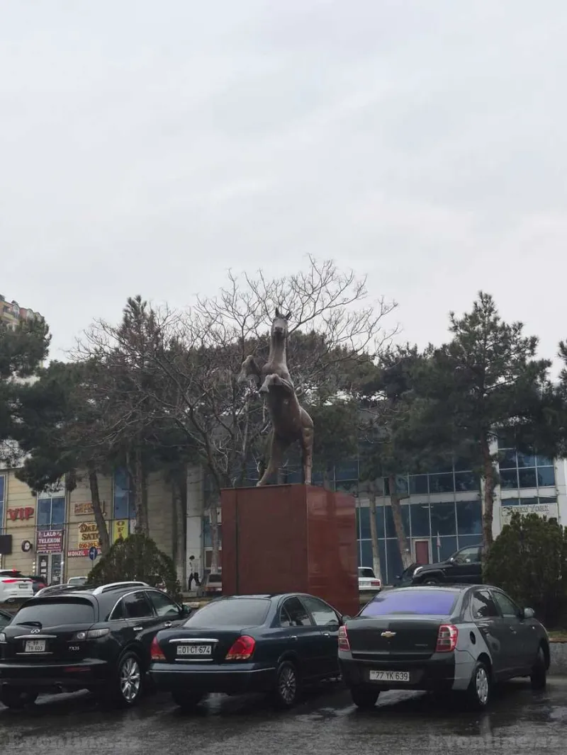 Satılır 3 otaqlı Mənzil Yeni tikili 102 m² Xırdalan - şəkil 3