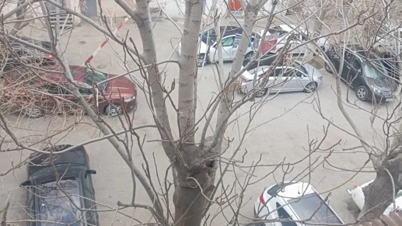 Satılır 2 otaqlı Mənzil Köhnə tikili 47.2 m² Nəsimi r. - şəkil 7