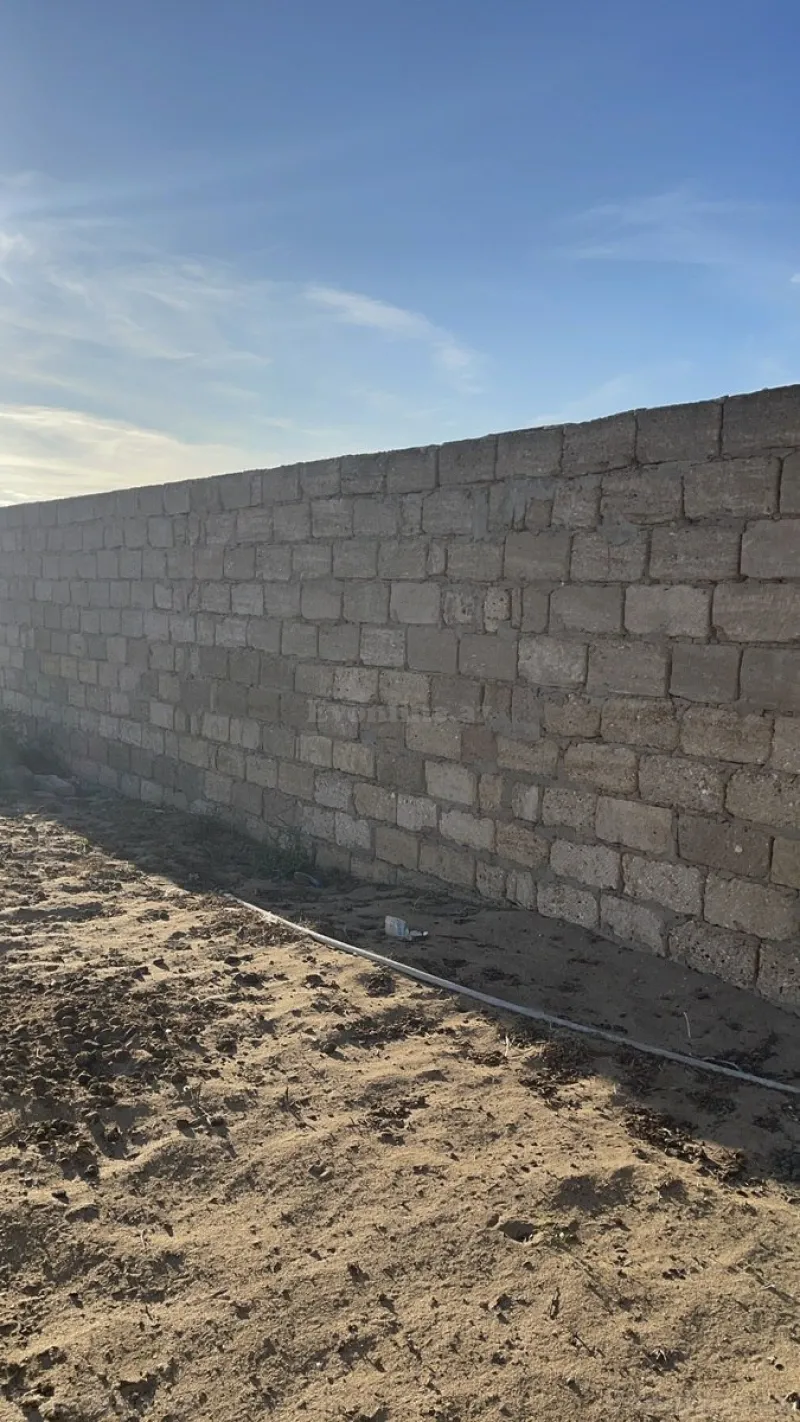 Satılır Torpaq 12 sot Nardaran - şəkil 4