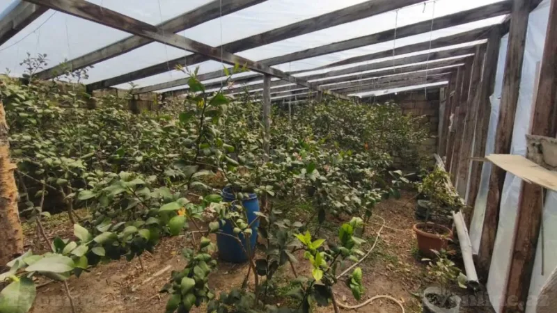 Satılır 5 otaqlı Həyət evi 280 m² Novxanı - şəkil 3