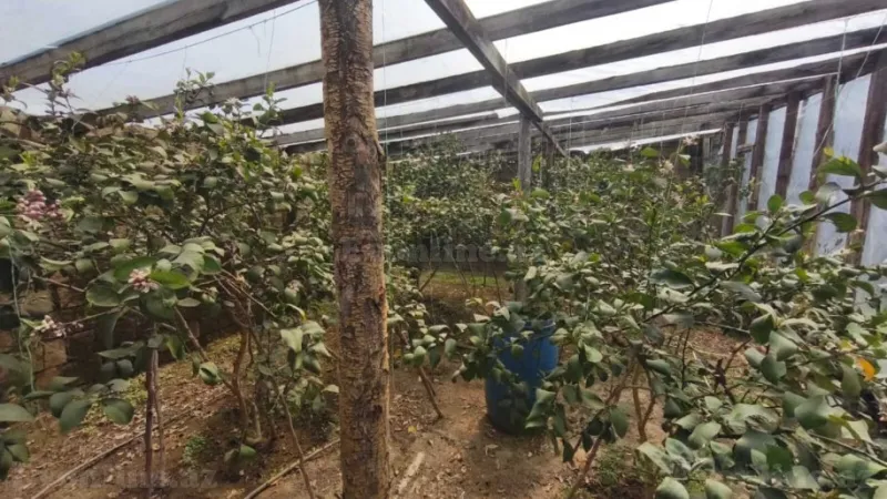 Satılır 5 otaqlı Həyət evi 280 m² Novxanı - şəkil 5