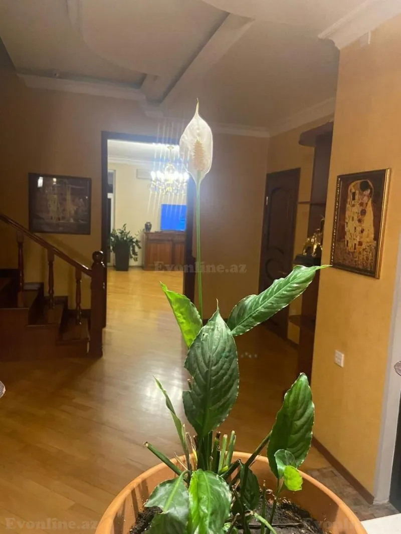 Satılır 4 otaqlı Mənzil Yeni tikili 220 m² Yasamal - şəkil 3