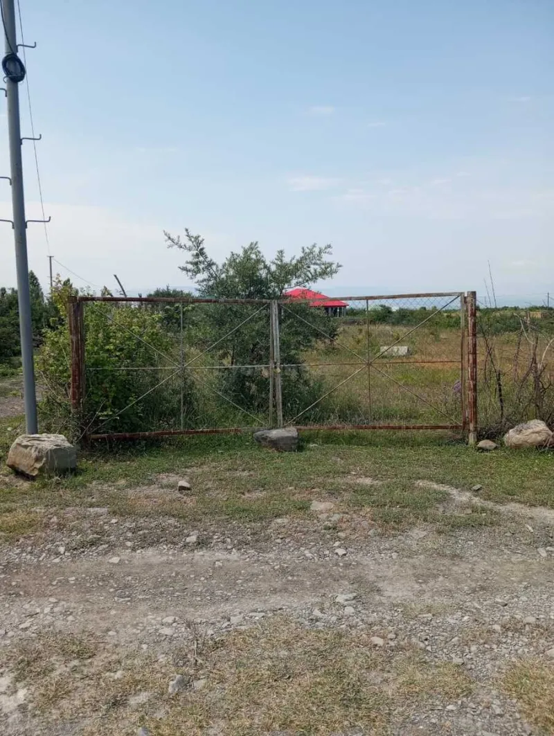 Satılır Torpaq 25 sot Şəki - şəkil 2