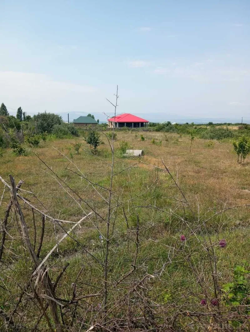 Satılır Torpaq 25 sot Şəki - şəkil 3