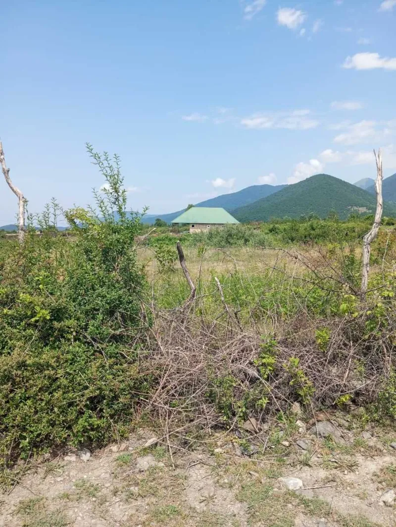 Satılır Torpaq 25 sot Şəki - şəkil 4