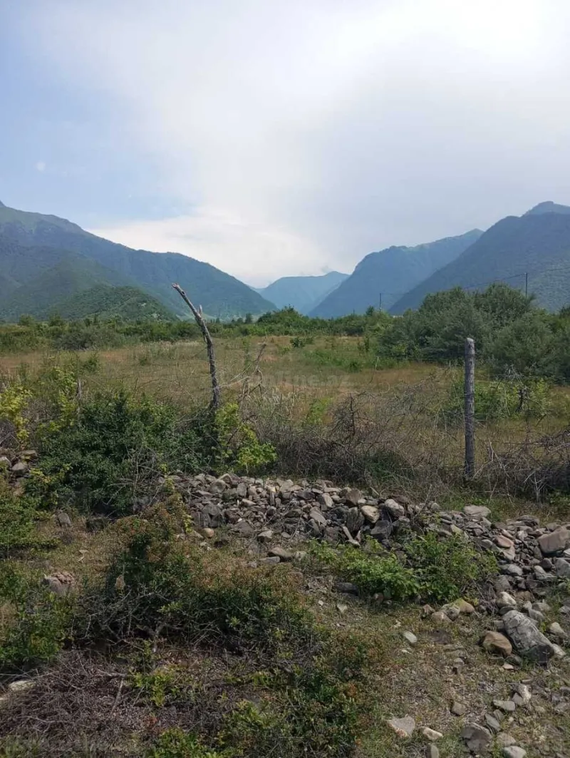 Satılır Torpaq 25 sot Şəki - şəkil 5