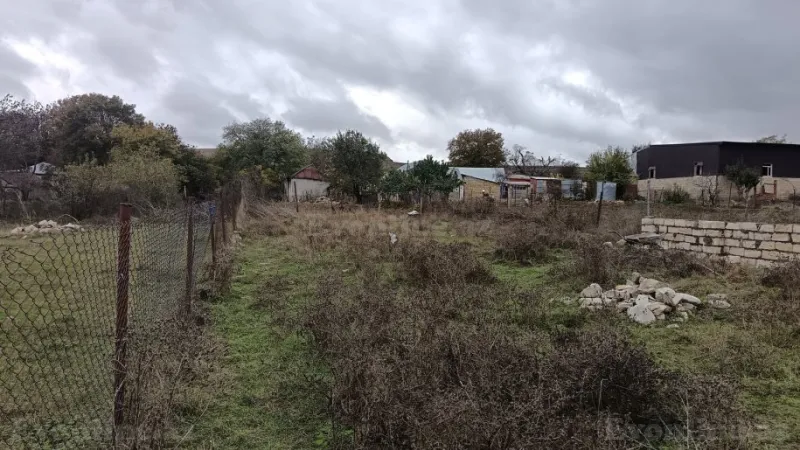 Satılır Torpaq 11.6 sot Şamaxı - şəkil 3