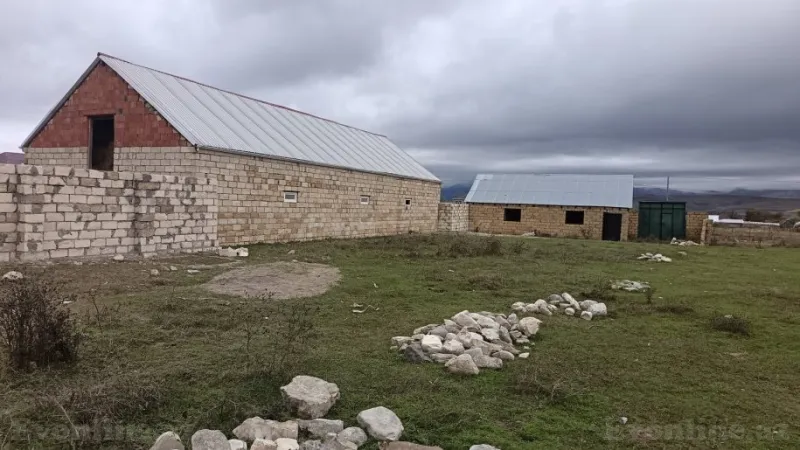 Satılır Torpaq 11.6 sot Şamaxı - şəkil 4