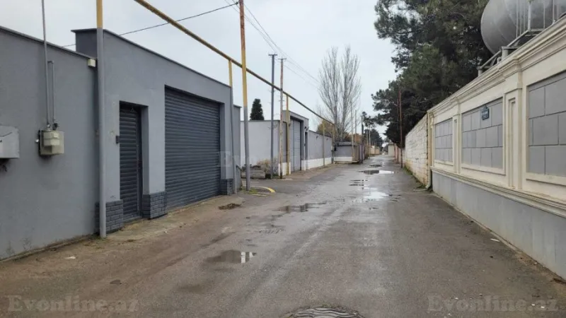 Satılır Torpaq 12 sot Bilgəh - şəkil 2