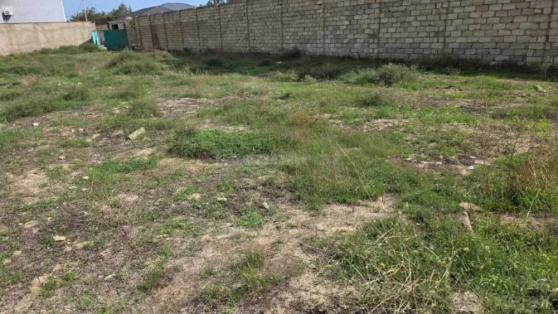 Satılır Torpaq 12 sot Bilgəh - şəkil 4