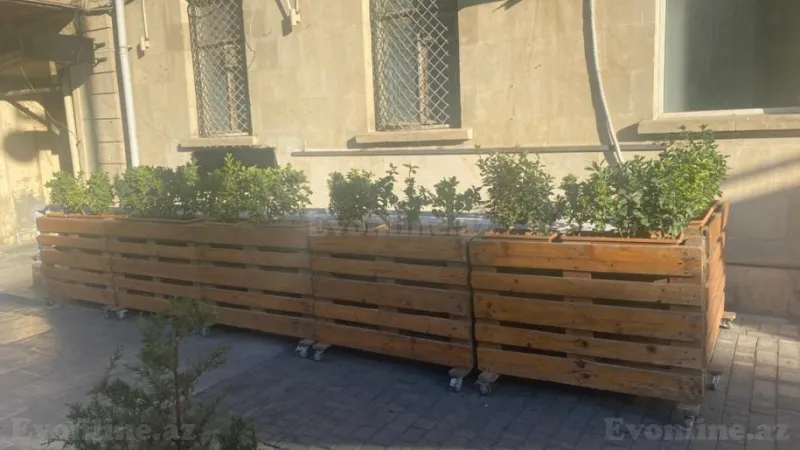 Kirayə verilir Obyekt 80 m² İçərişəhər m. - şəkil 25