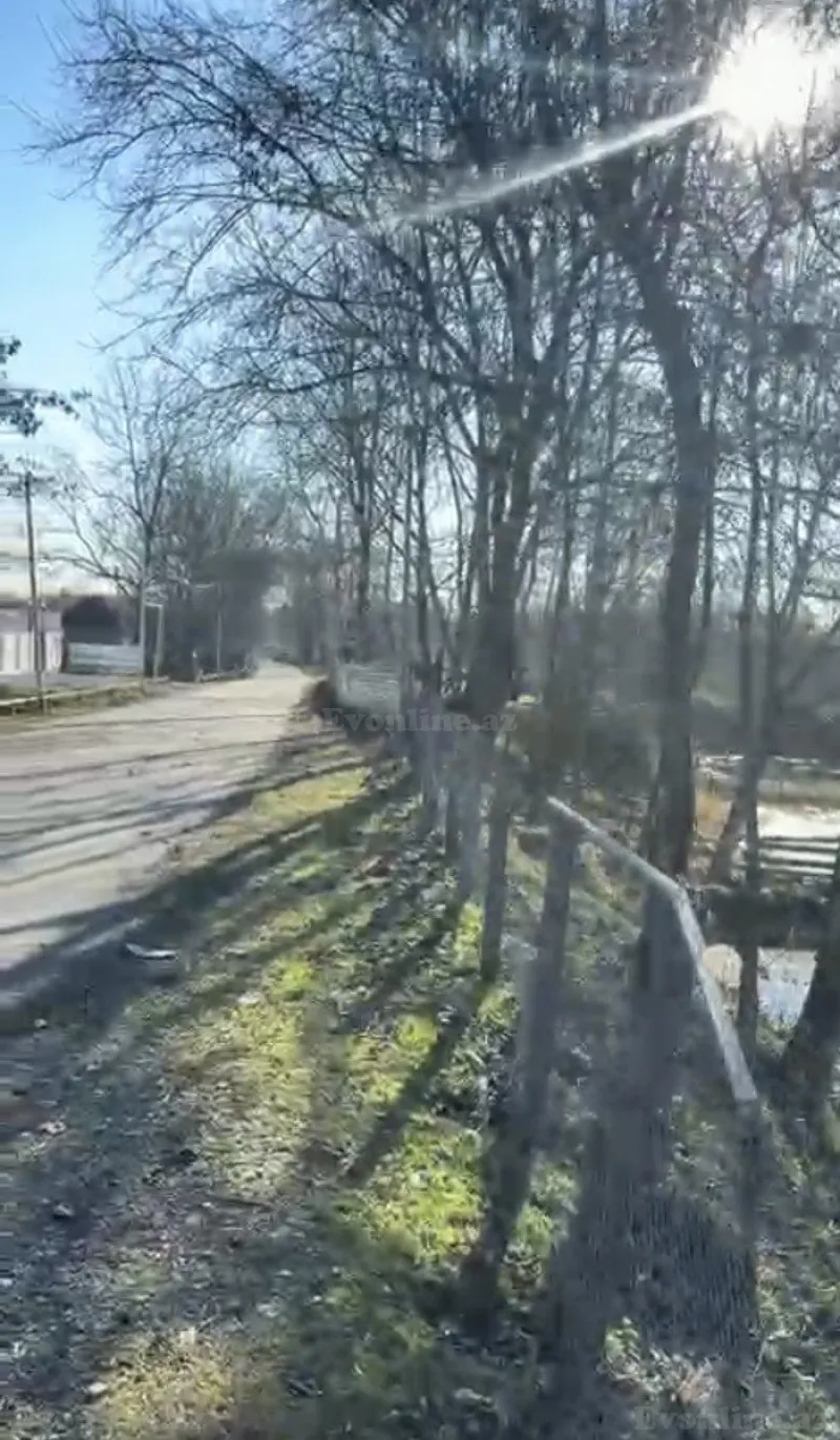 Satılır Torpaq 7 sot Qəbələ - şəkil 6