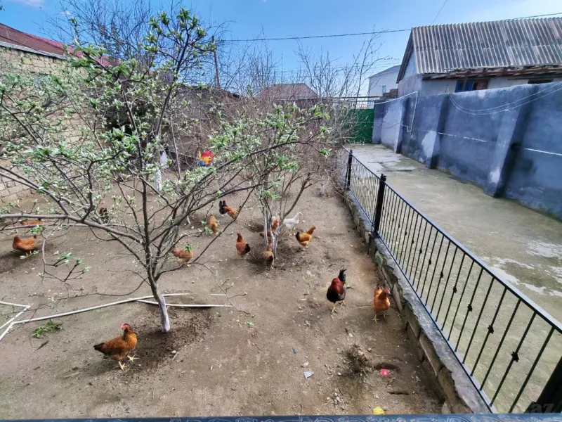 Satılır 3 otaqlı Həyət evi 90 m² Maştağa - şəkil 6