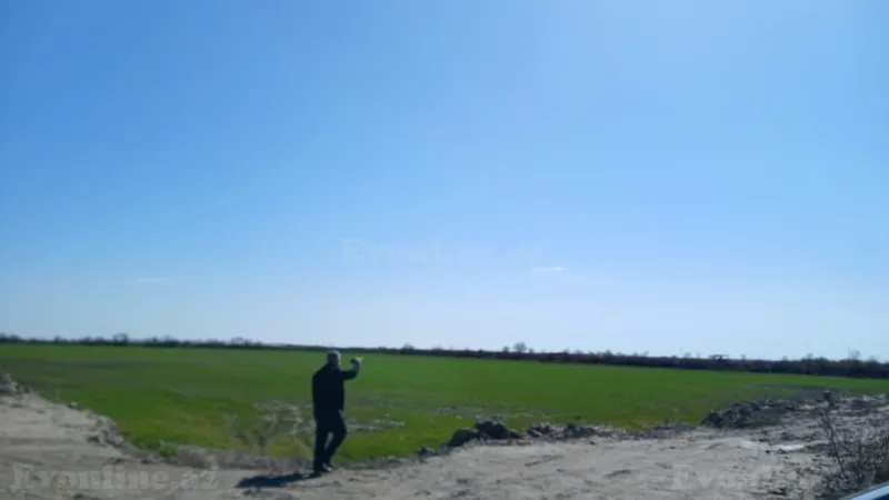 Neftçalada torpaq satılır